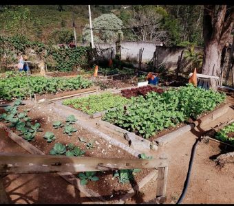 WhatsApp Image 2025-10-24 at 19.49.47